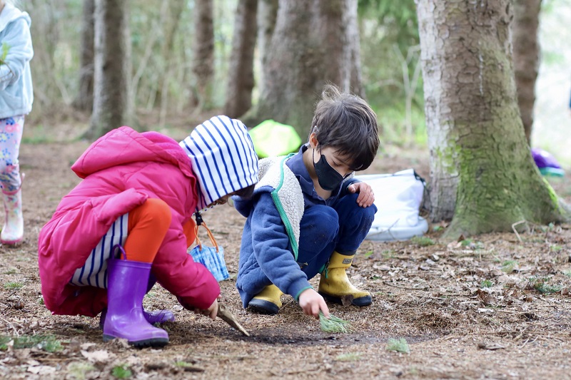 The Kindergarten Wetlands Project!