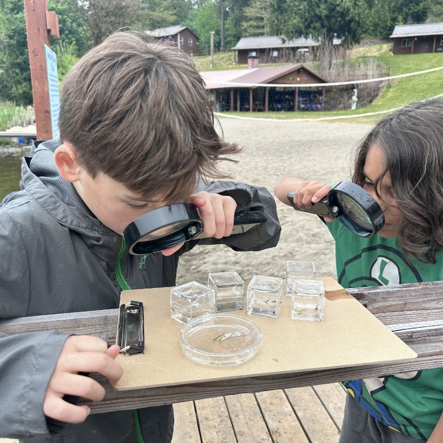 students examining specimens through magnifying glasses