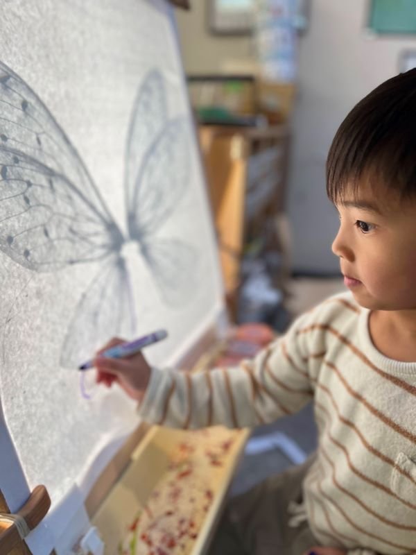 a young child in front of a lightboard easel, tracing an image of a butterfly with care and attention